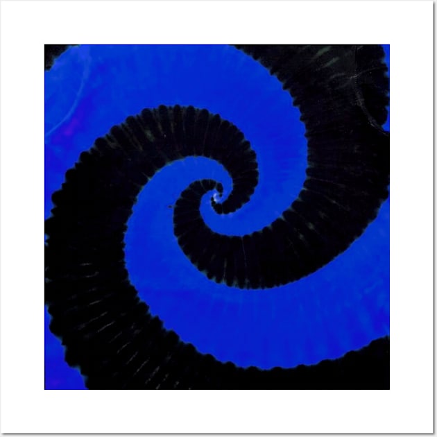 Spiral Blue Black Tie Dye Wall Art by TrippyTieDyes